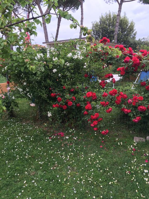 B&B Soleluna Пиза Екстериор снимка